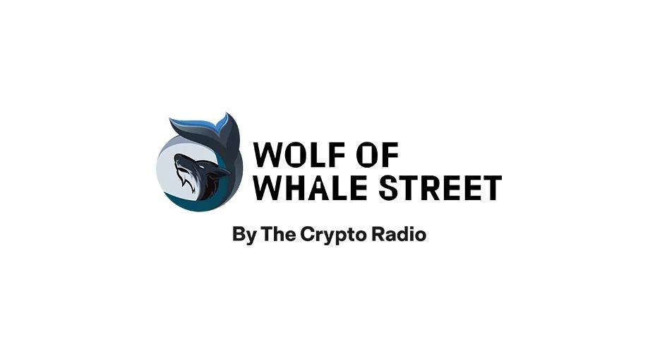 Wolf of Whale Street cover