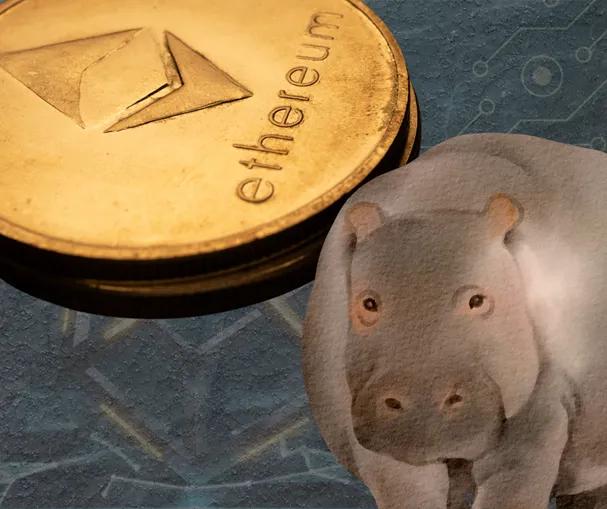 A composite image of an Ethereum coin and a hippo