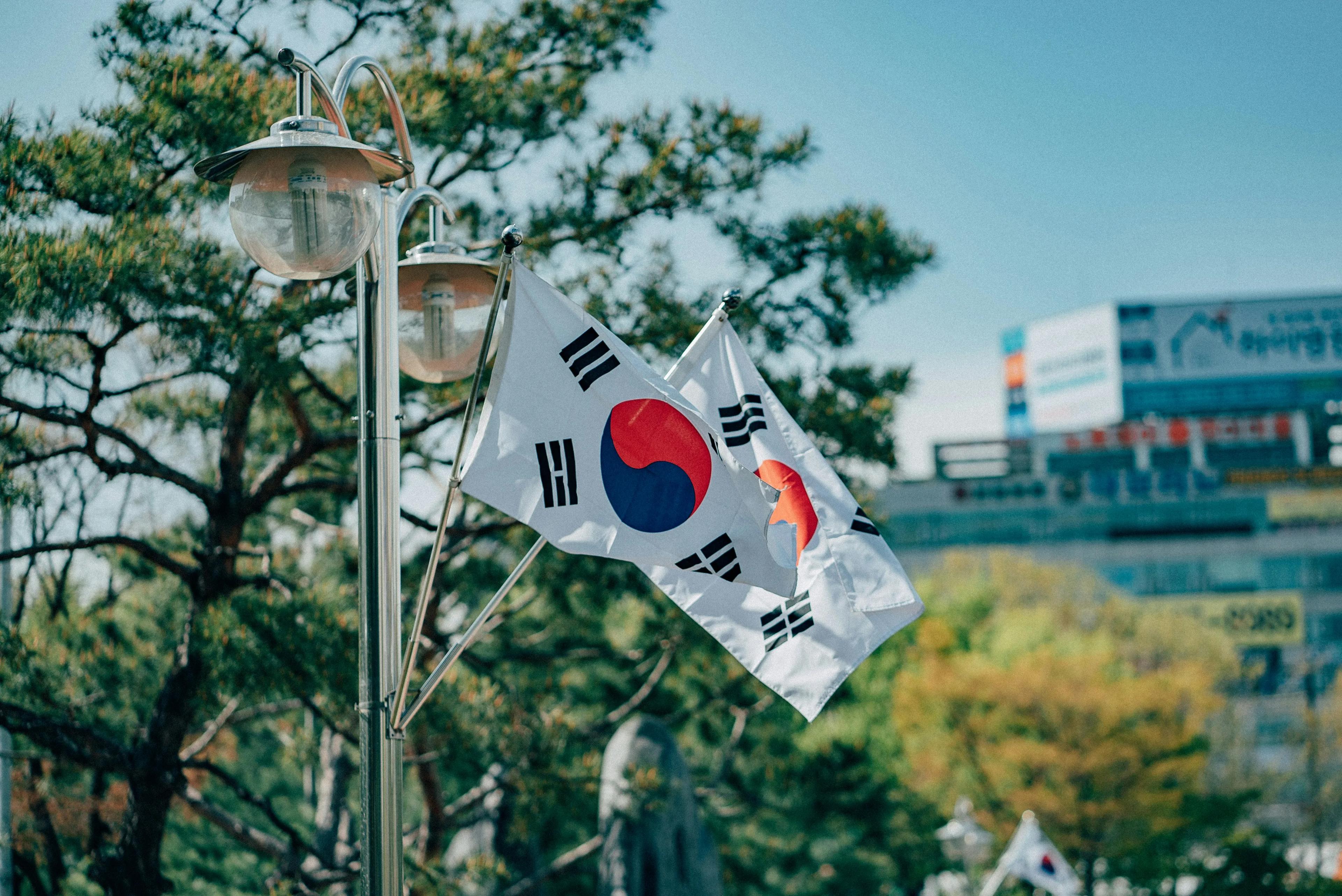 South Korean flags fly on Bucheon street