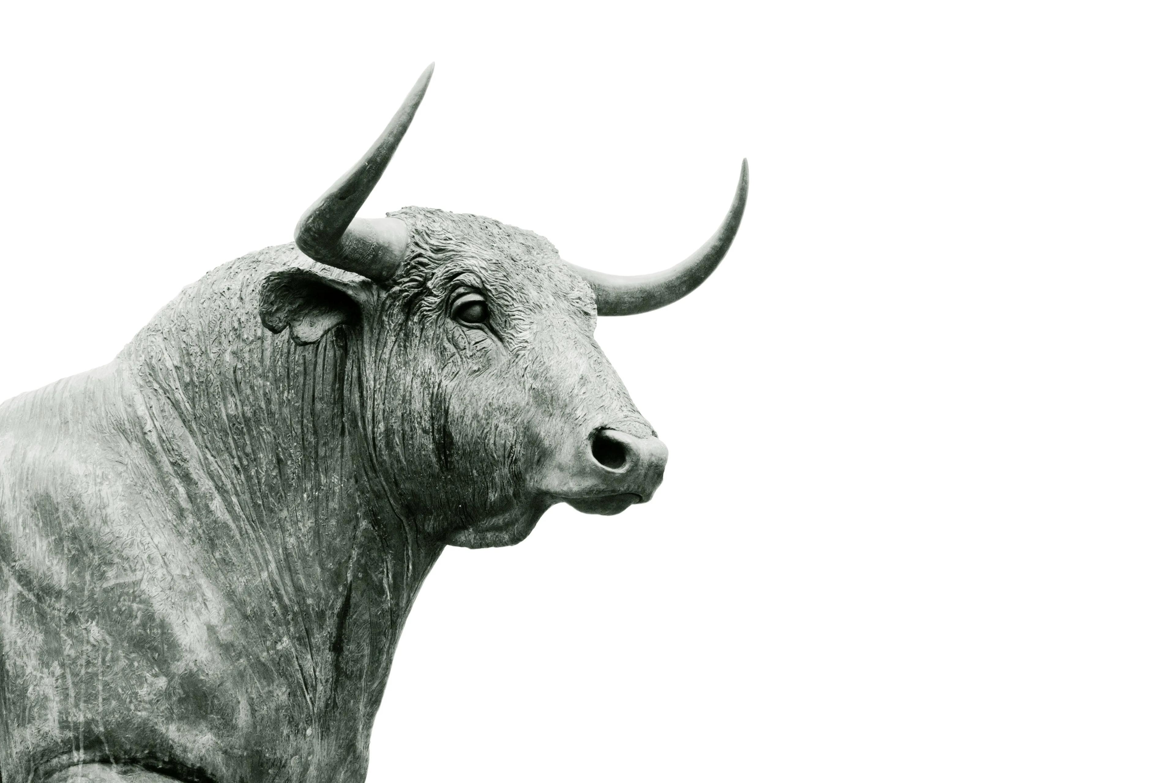 A black-and-white photo of a bull against a white sky