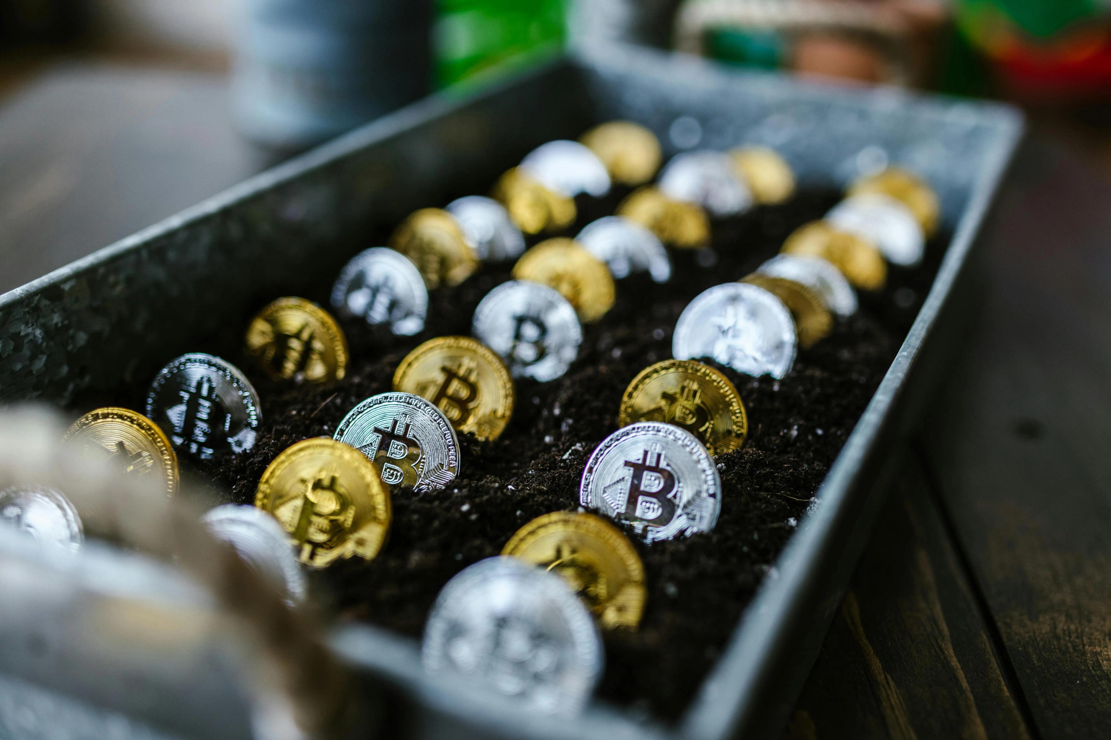 Bitcoins in a tray of soil